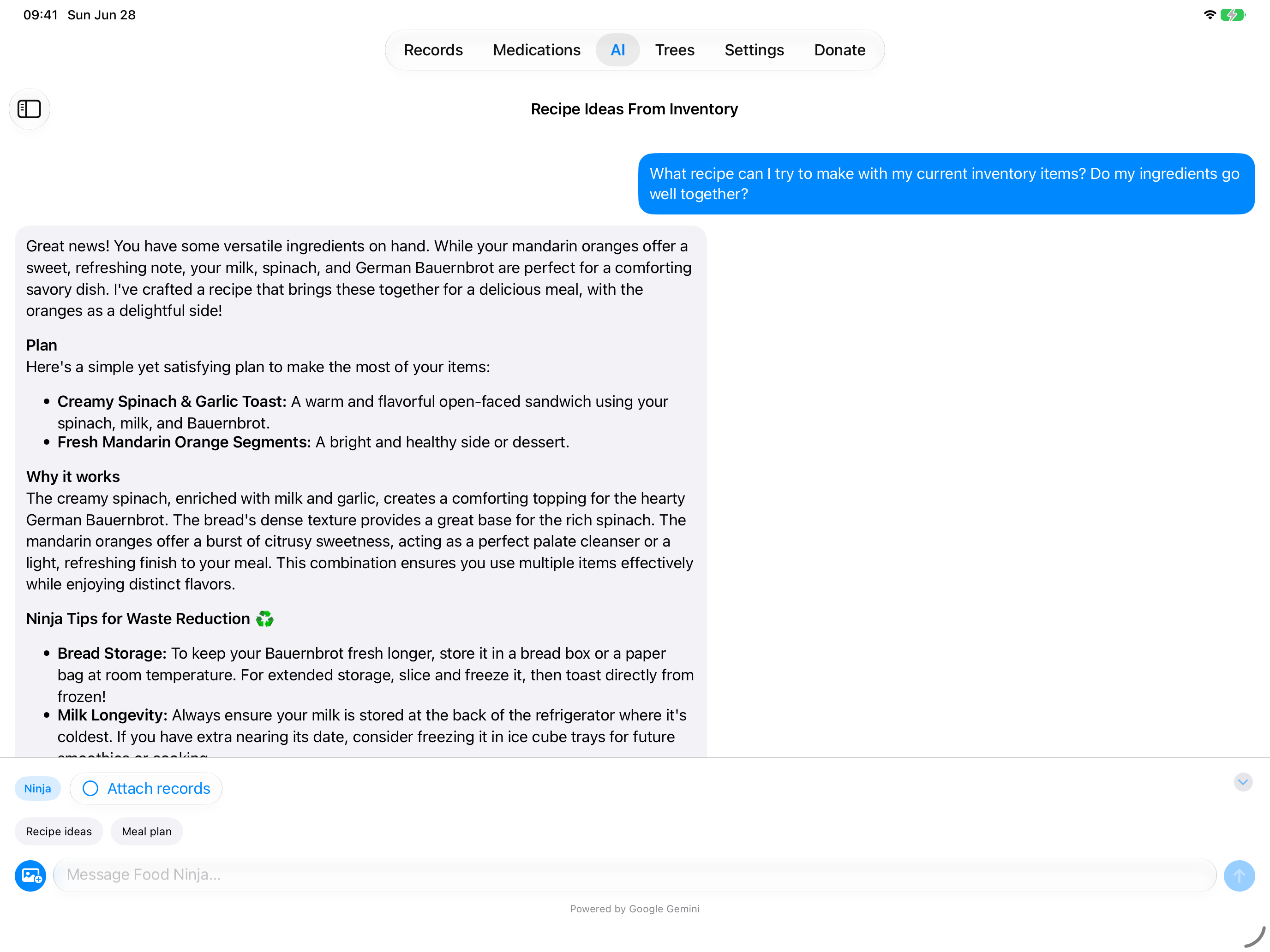 AI chat screen with recipe and meal plan cards