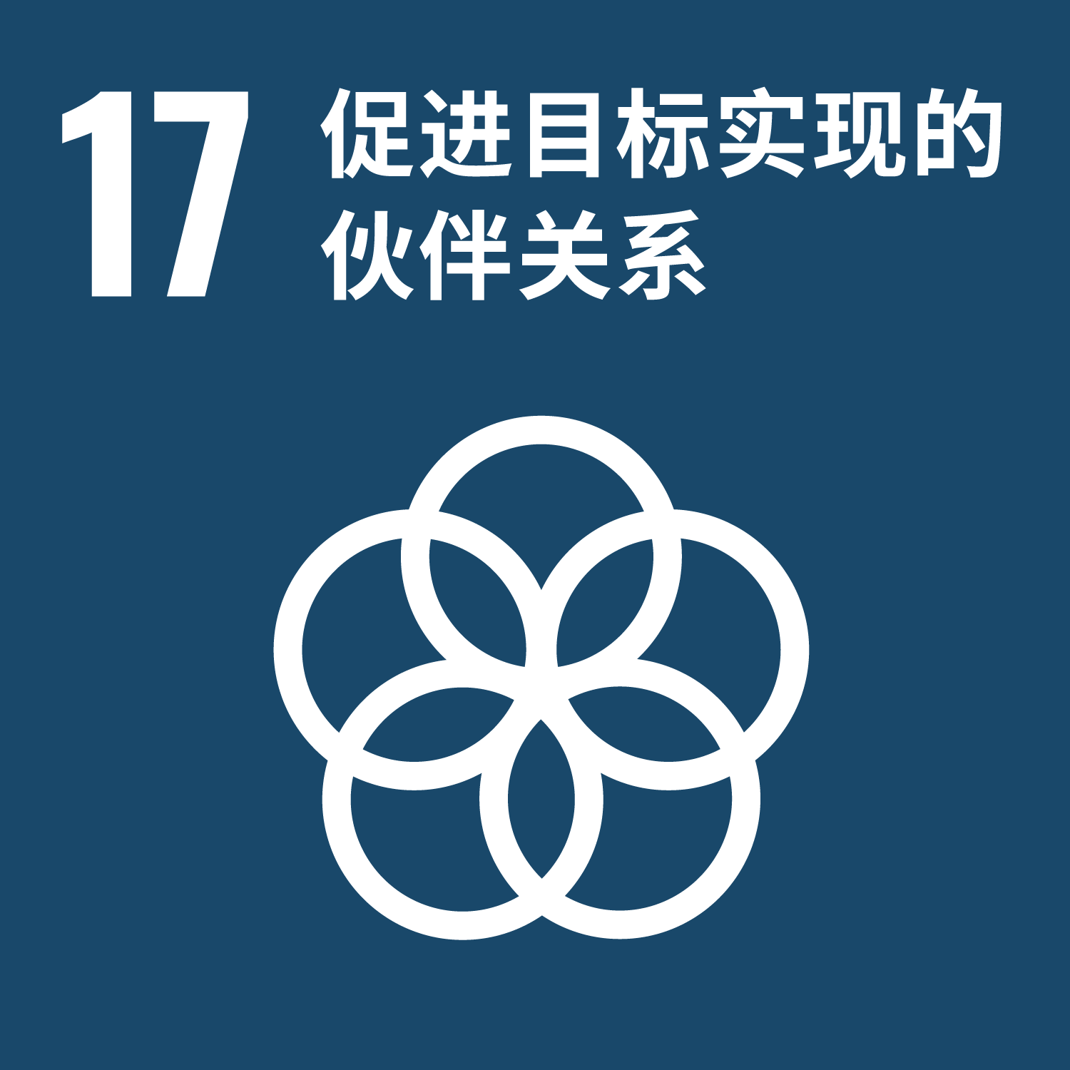 SDG 17 – 多元夥伴關係